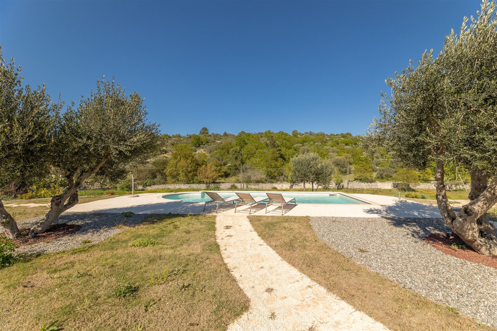 Photo 1 of 25 — Olive Field,Marinelli, Apulia, Italy