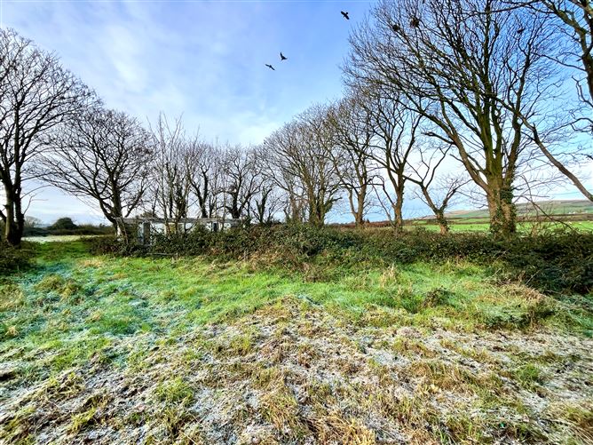 The Meadow, Lyre, Lisselton, Kerry