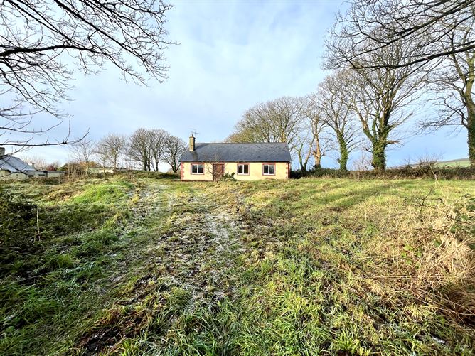 The Meadow, Lyre, Lisselton, Kerry