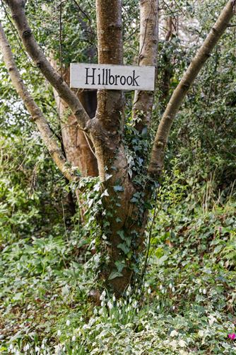 Hillbrook, Ballywaltrim Lane, Bray, Co. Wicklow