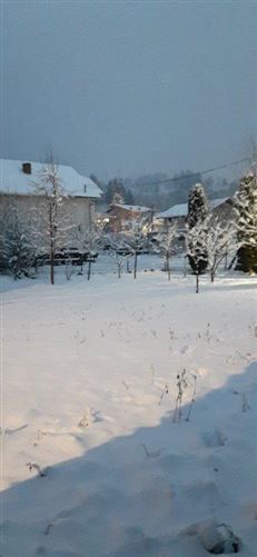 Private, Strada Vasile Alecsandri, Borsa