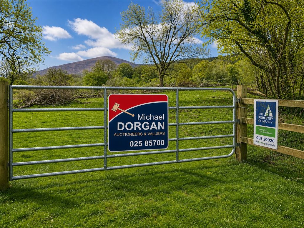 c.53 acres Forrest, Rearoe, Clogheen, Tipperary