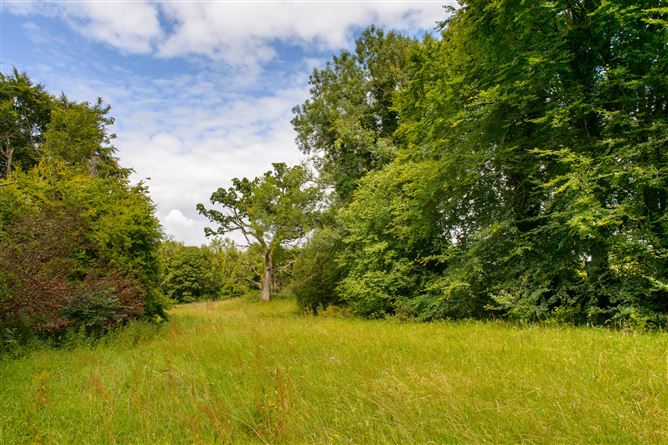 Ashbrook House, Dromakeenan, Roscrea, Co. Tipperary