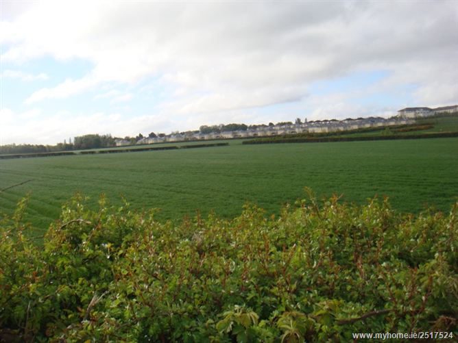 39 Acres, Tierhogar, Killenard, Laois