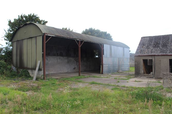 Knockanedoolis, Pallasgreen, Limerick