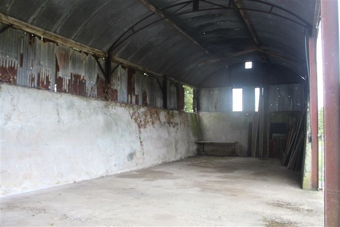 Knockanedoolis, Pallasgreen, Limerick