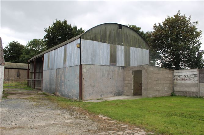 Knockanedoolis, Pallasgreen, Limerick
