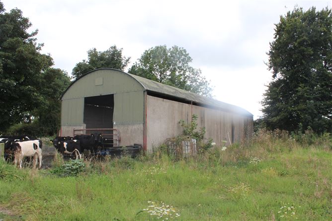 Knockanedoolis, Pallasgreen, Limerick