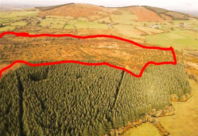 Lands Laragh, Tinahely, Co. Wicklow