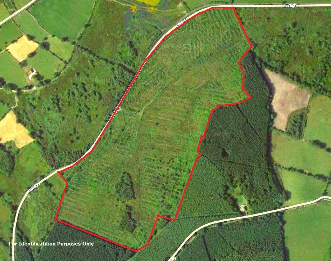 Lands Laragh, Tinahely, Co. Wicklow
