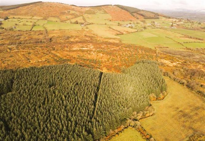 Lands Laragh, Tinahely, Co. Wicklow