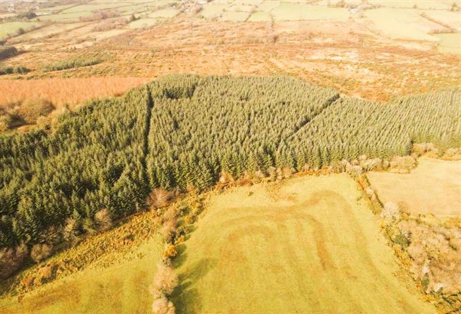 Lands Laragh, Tinahely, Co. Wicklow