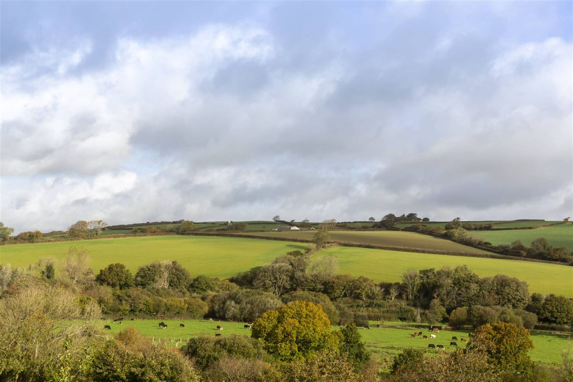 A Tale From The Farm,Loddiswell, Devon, United Kingdom