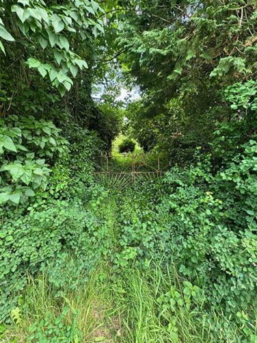 Derryvalley, Ballybay, Monaghan