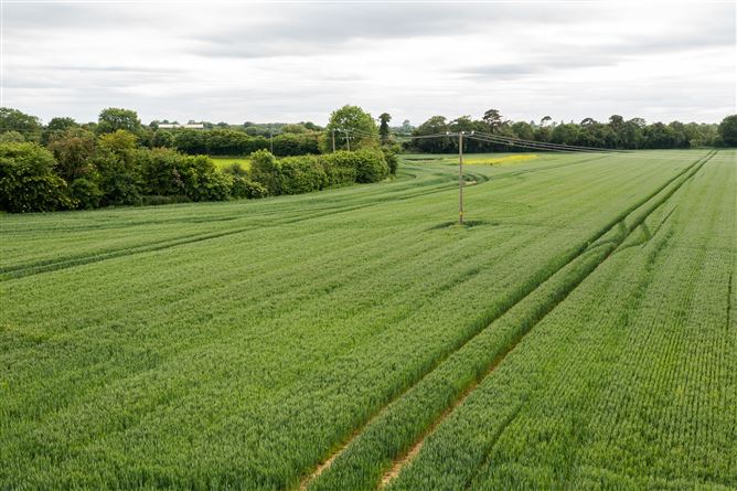 Drummin House on c. 53 Acres (Lot 1), Carbury, Kildare