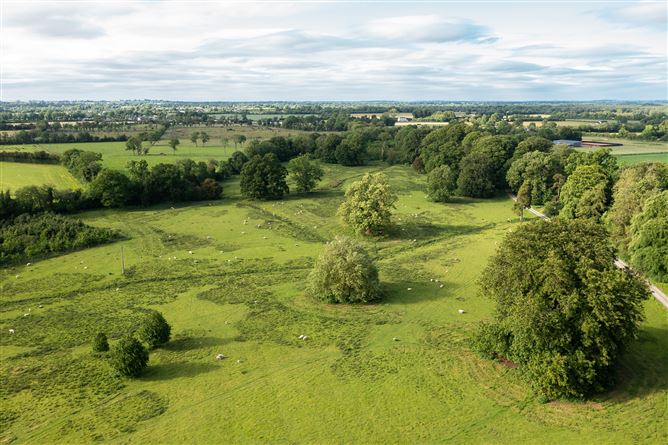 Drummin House on c. 53 Acres (Lot 1), Carbury, Kildare