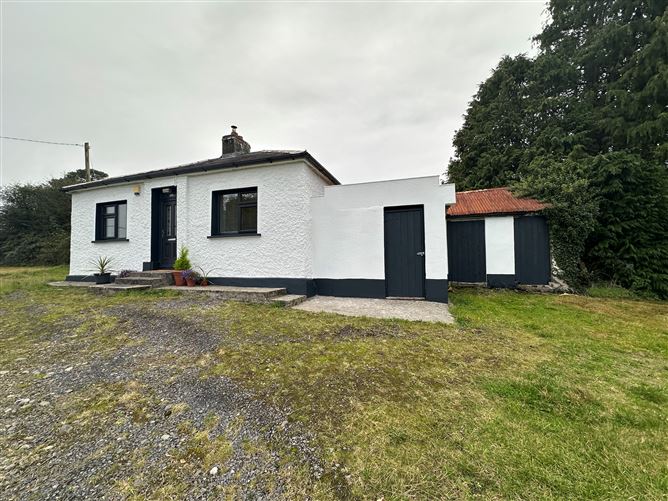 Ballywillian Granard Co Longford , Granard, Longford