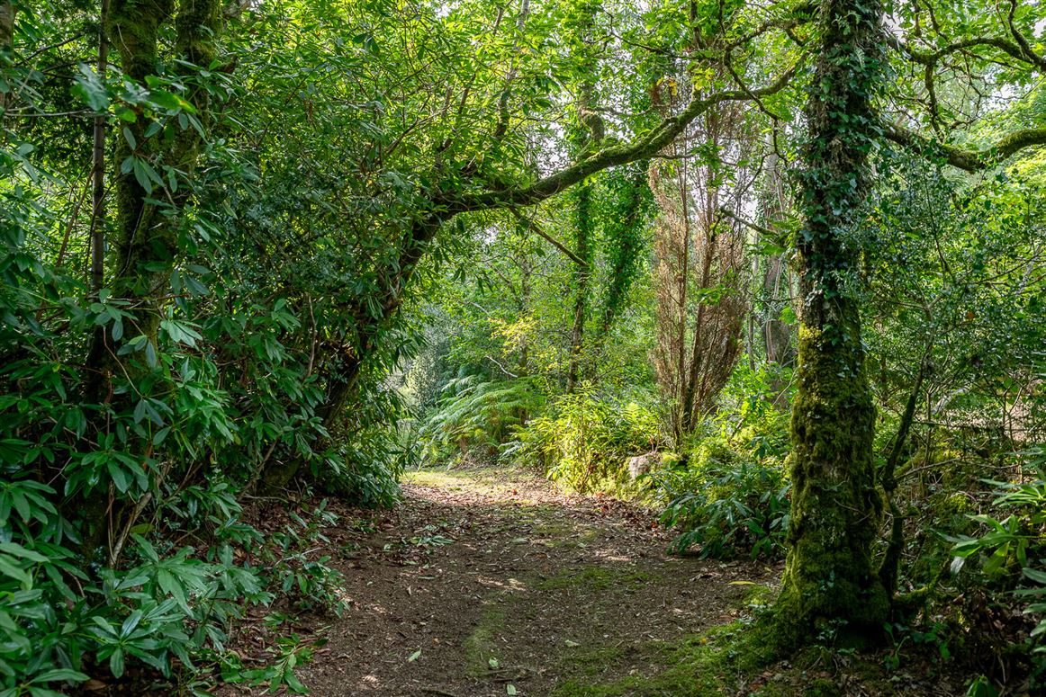 Derreenafoyle, Blackwater Bridge, Kenmare, Co. Kerry