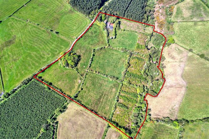 Lislea, Ballinalee, Co. Longford
