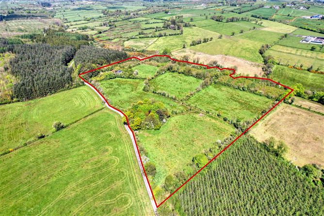 Lislea, Ballinalee, Co. Longford