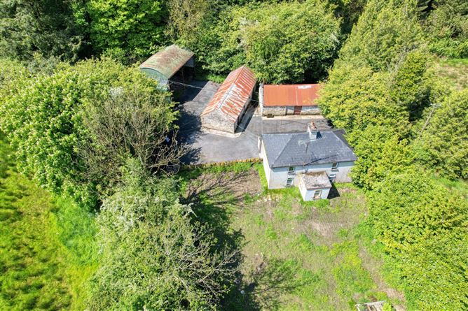 Lislea, Ballinalee, Co. Longford