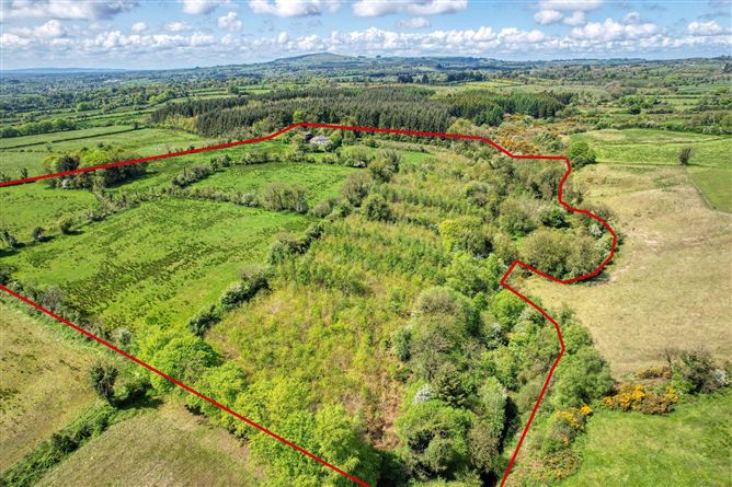 Lislea, Ballinalee, Co. Longford