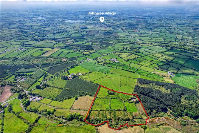 Lislea, Ballinalee, Co. Longford