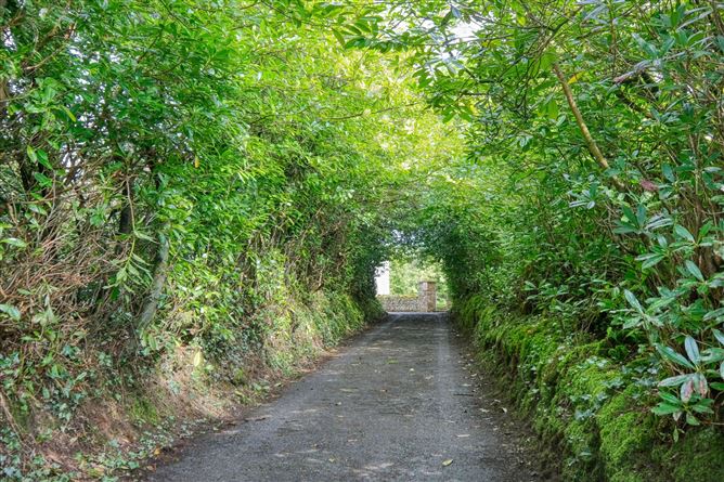 Lislea, Ballinalee, Co. Longford