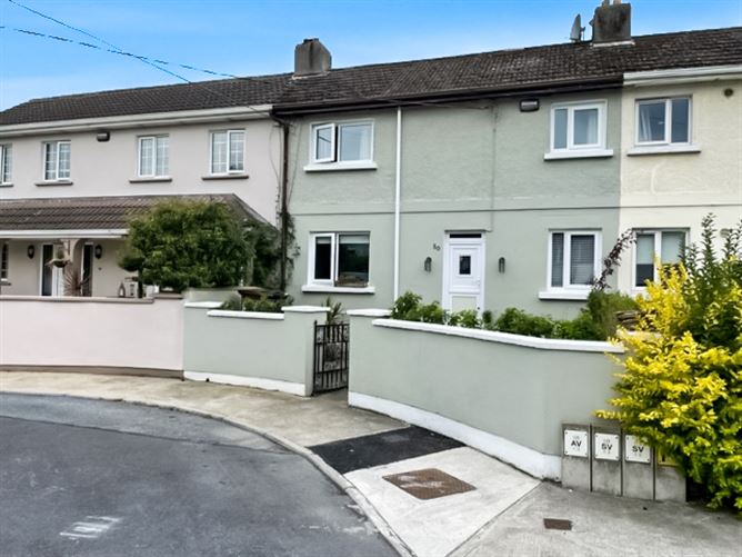St. Fiaccs Terrace, Graiguecullen