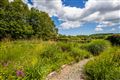 The Bay Garden, Baylands, Camolin