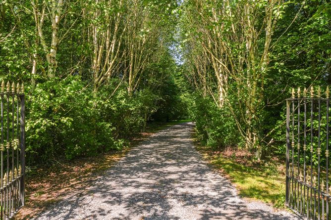 Photo 85 of 93 — Baltrasna, Oldcastle, Co. Meath