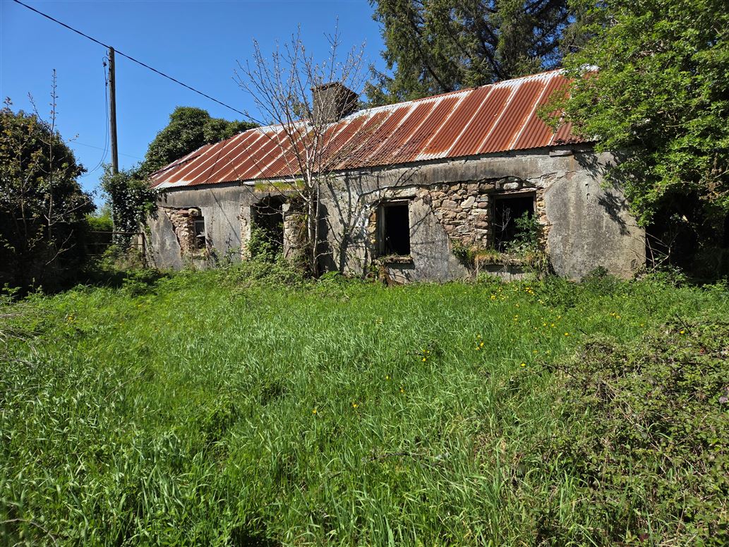 Clogheenafishoge, Cahir, Tipperary