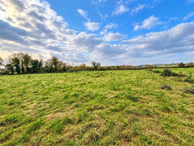 Lot 59 Ha (16, 28 Acres), Grange, Tipperary