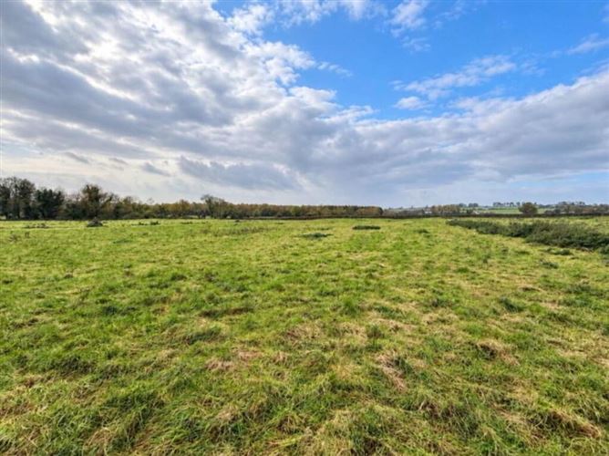 Lot 59 Ha (16, 28 Acres), Grange, Tipperary