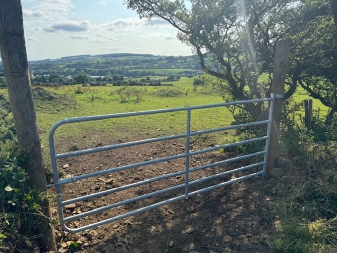 Land c. 3.4 Acres / 1.38 HA., Raheen, Brittas, Dublin