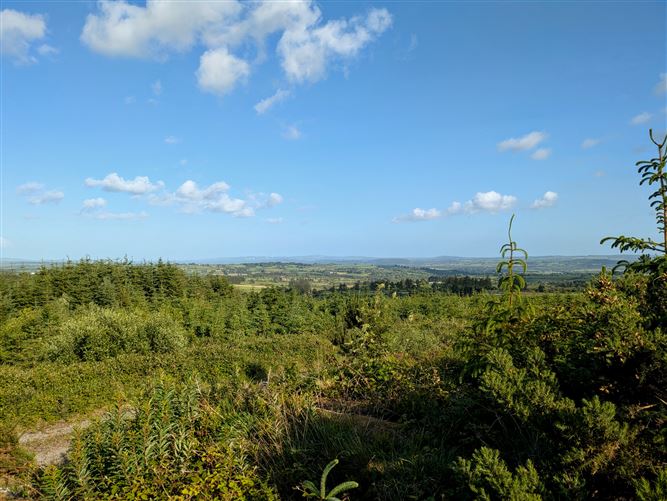 Araglen, Kilworth, Cork