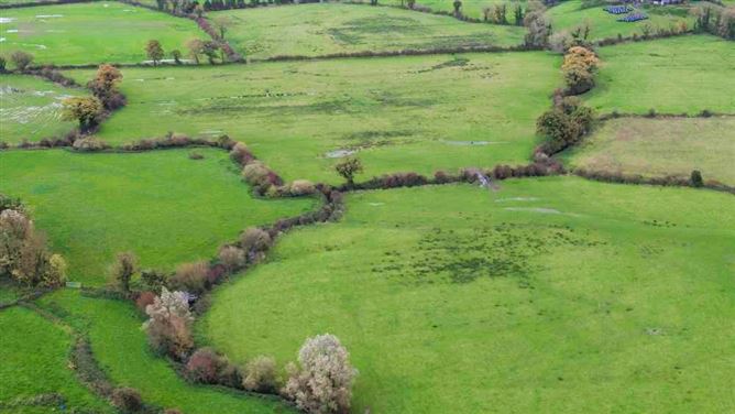 Lands Ballymorris, Cratloe, Clare