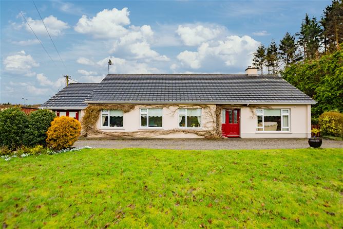 Newcastle, Ballymahon, Longford, Co. Longford