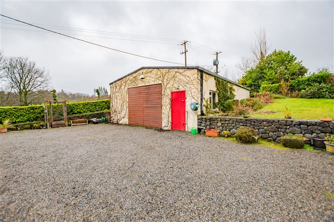 Newcastle, Ballymahon, Longford, Co. Longford