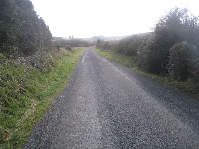 Derryheelan, Drumlish, Longford