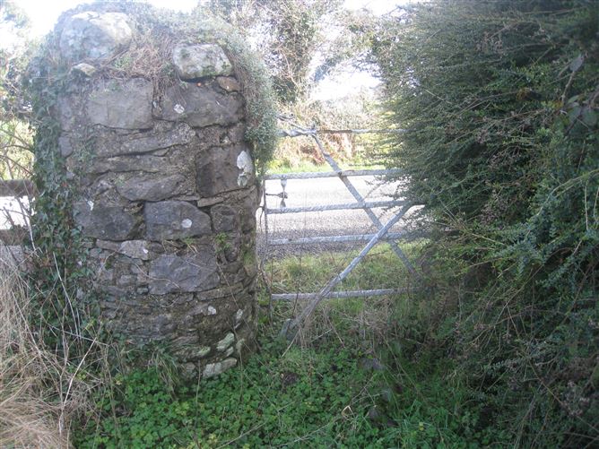 Derryheelan, Drumlish, Longford