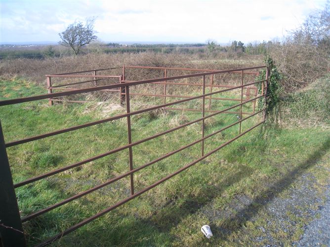 Derryheelan, Drumlish, Longford