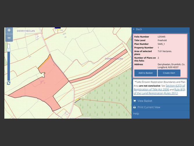 Derryheelan, Drumlish, Longford