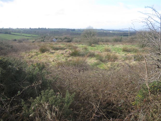 Derryheelan, Drumlish, Longford