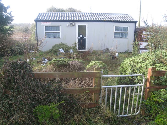 Derryheelan, Drumlish, Longford