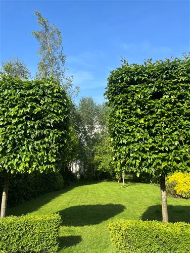 Verelands, Garden Vale, Athlone, Co. Westmeath