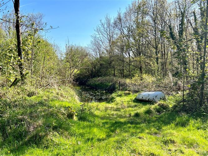 Brackloon, Carrick on Shannon , Cootehall, Roscommon