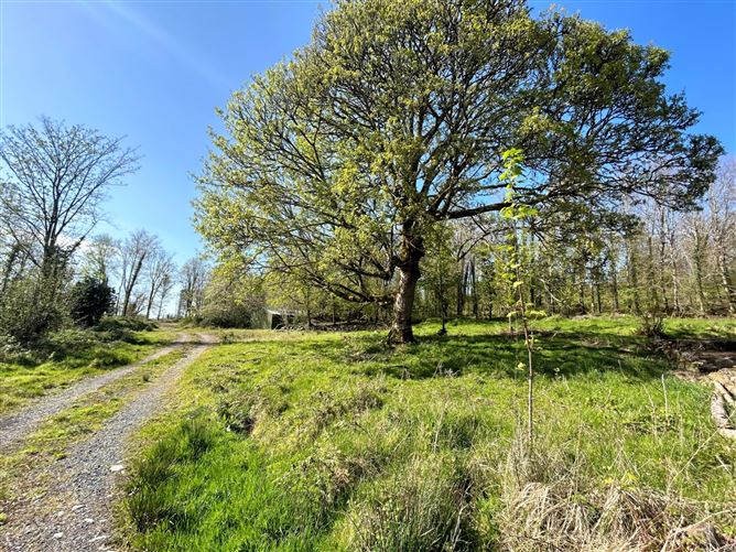 Brackloon, Carrick on Shannon , Cootehall, Roscommon