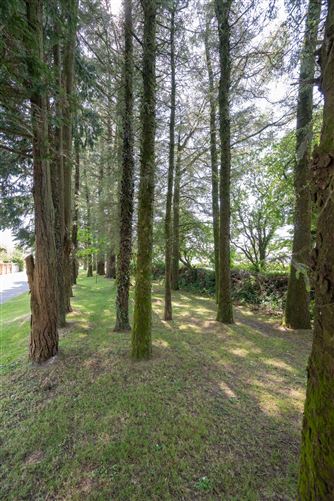 5 The Avenue, Priory Court, Watergrasshill, Cork