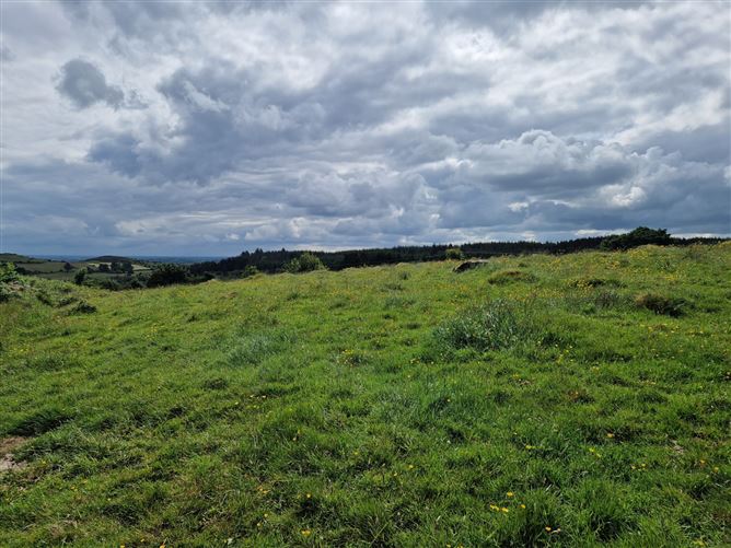 Carn Hill, Callow, Foxford, Co. Mayo